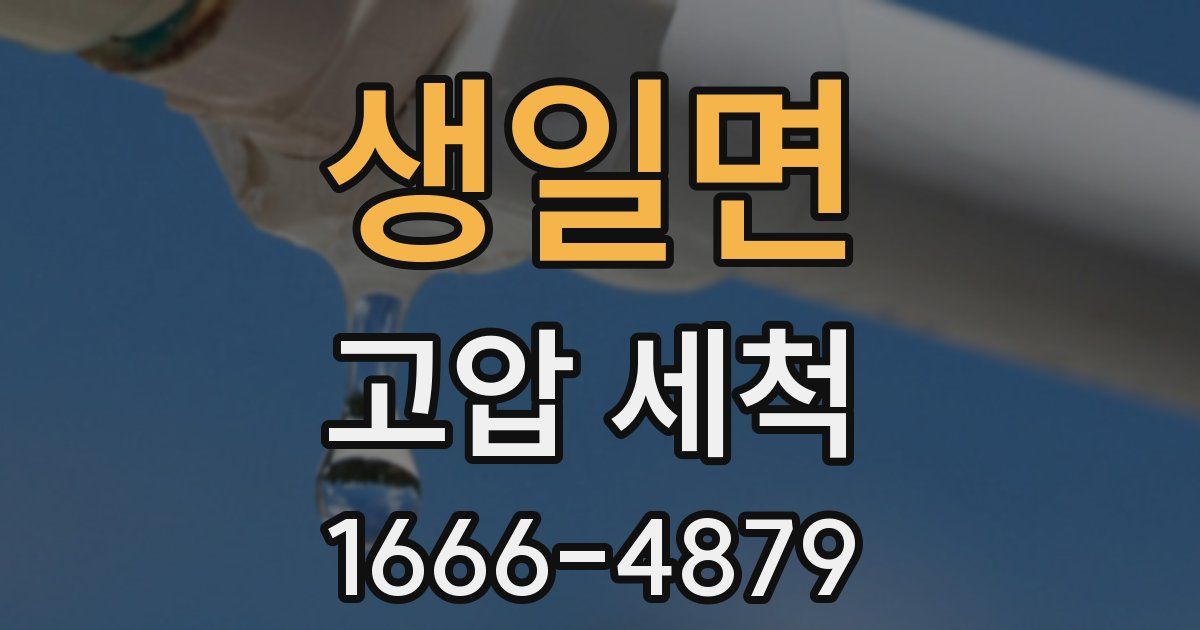 생일면 고압 세척