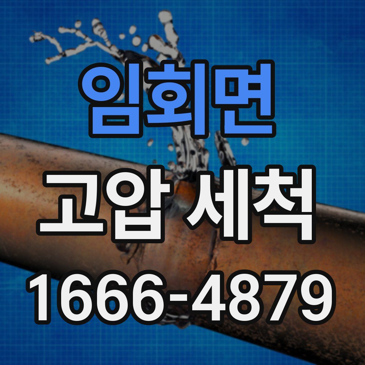 임회면 고압 세척