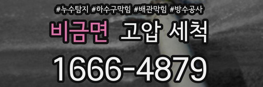 비금면 고압 세척