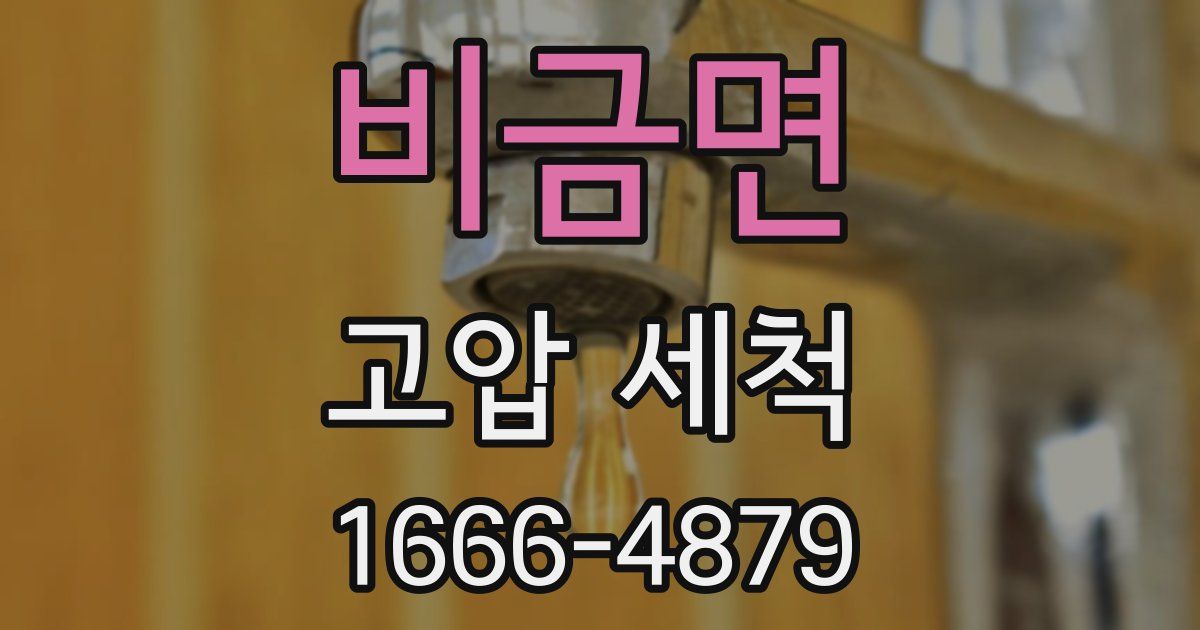 비금면 고압 세척