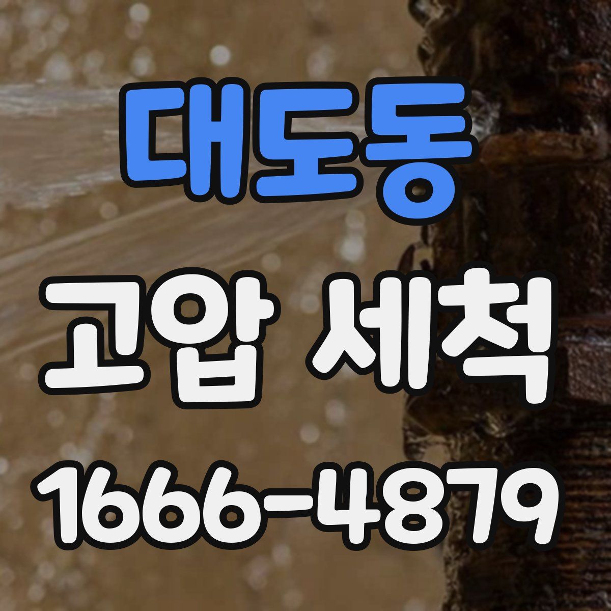 대도동 고압 세척