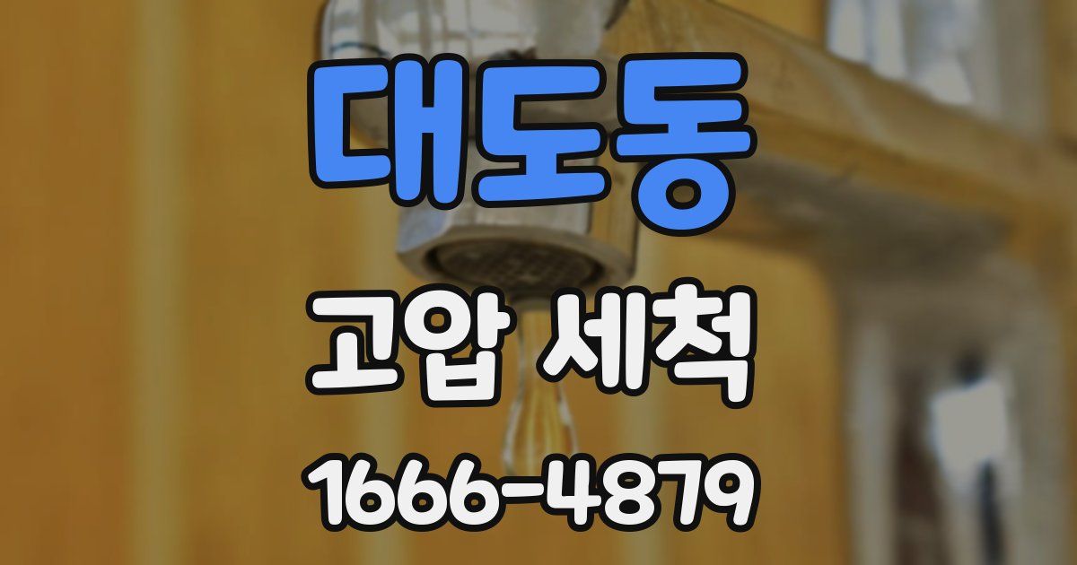 대도동 고압 세척