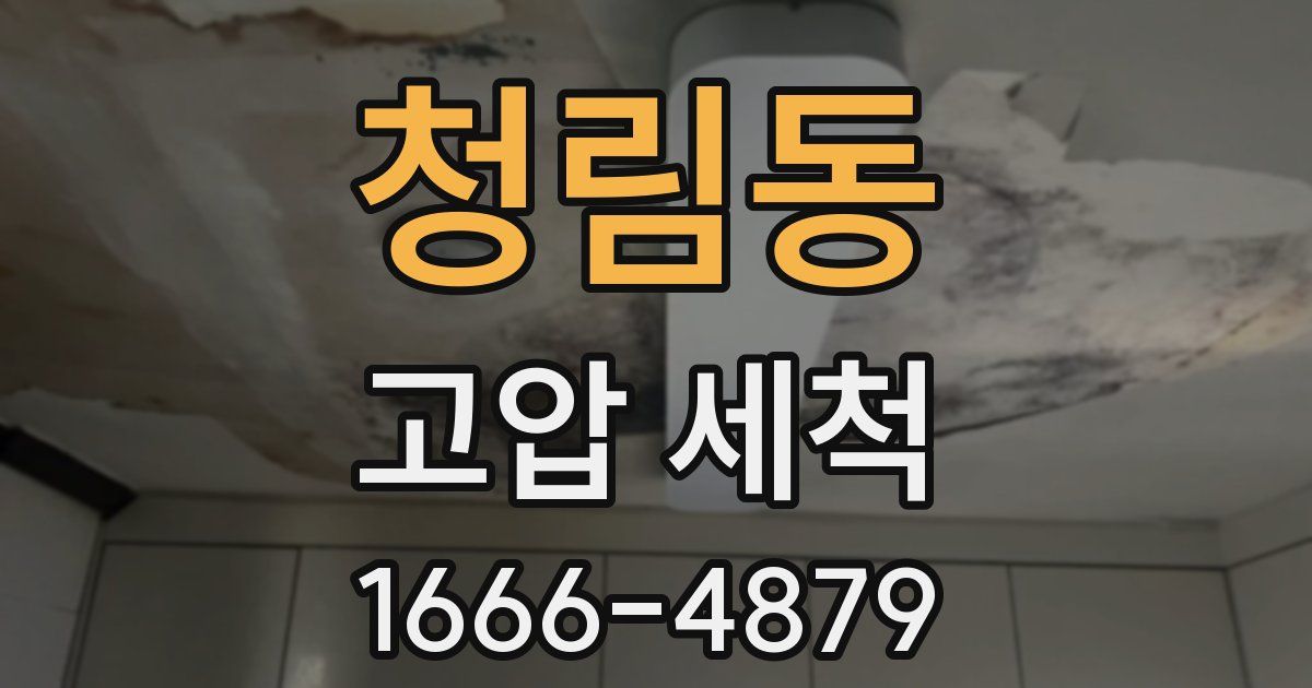 청림동 고압 세척