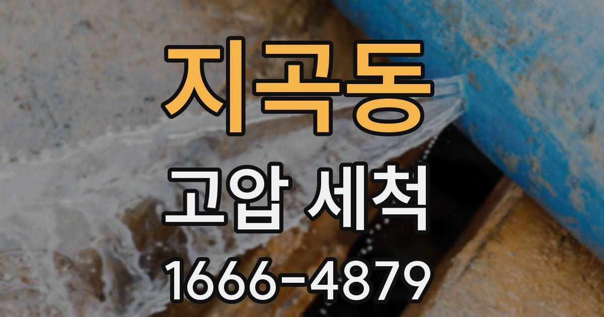 지곡동 고압 세척