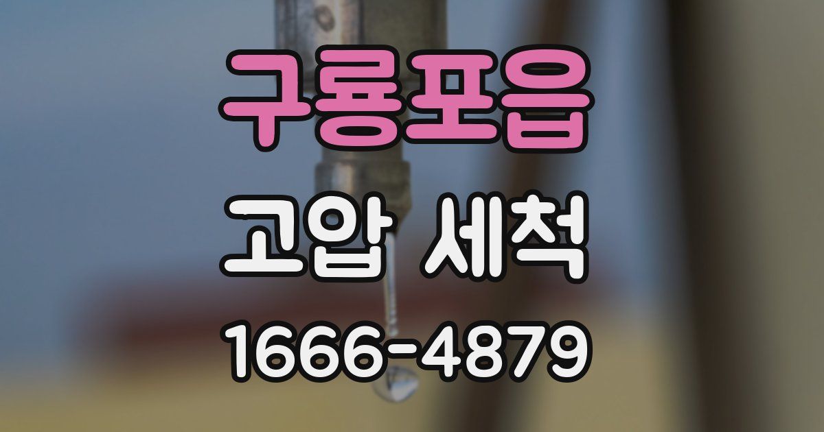 구룡포읍 고압 세척