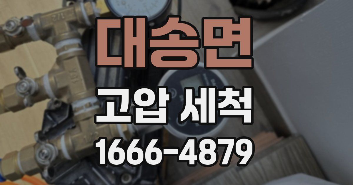 대송면 고압 세척