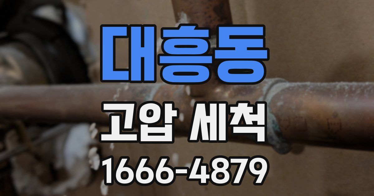 대흥동 고압 세척