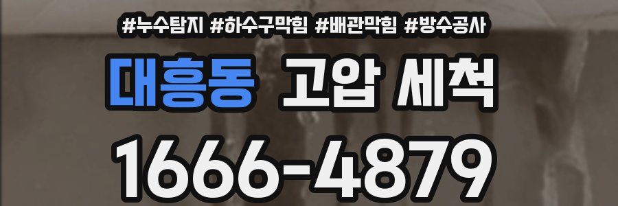 대흥동 고압 세척