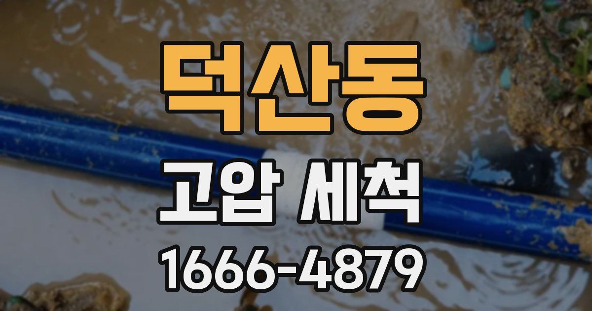 덕산동 고압 세척