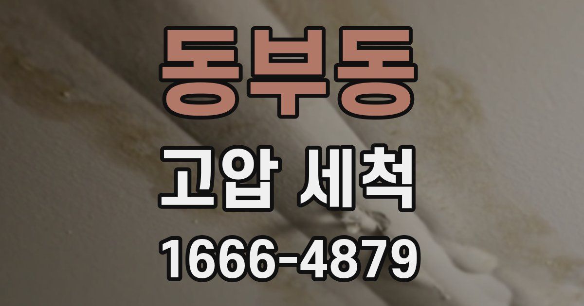 동부동 고압 세척