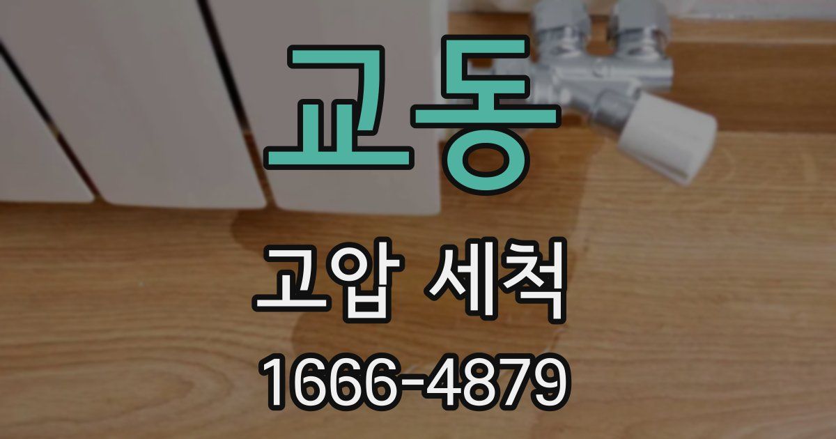 교동 고압 세척