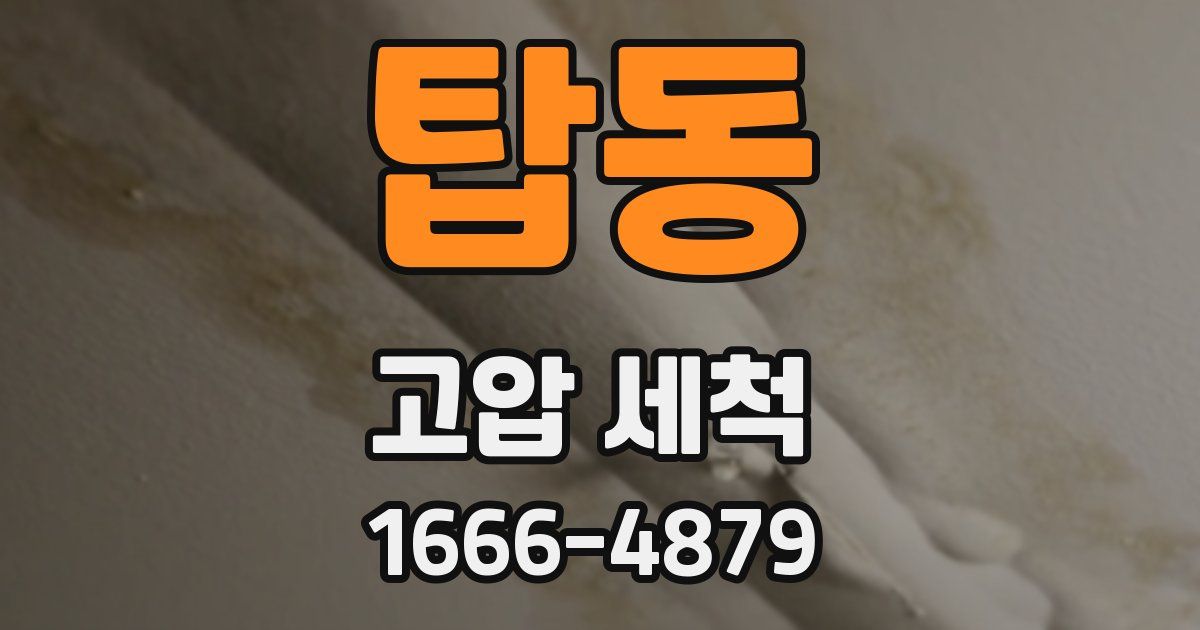 탑동 고압 세척