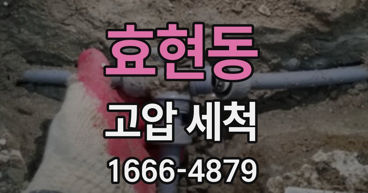 효현동 고압 세척
