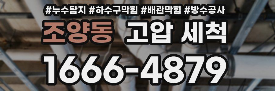 조양동 고압 세척