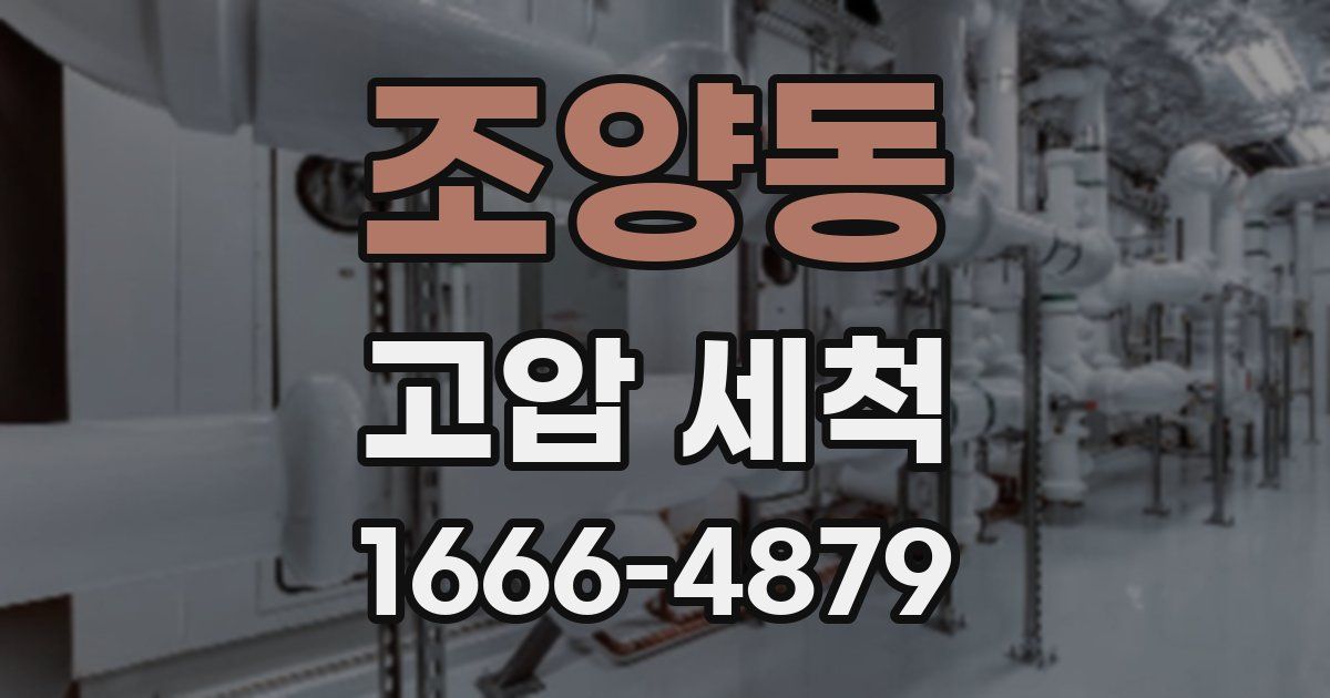 조양동 고압 세척