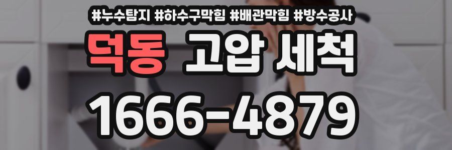 덕동 고압 세척