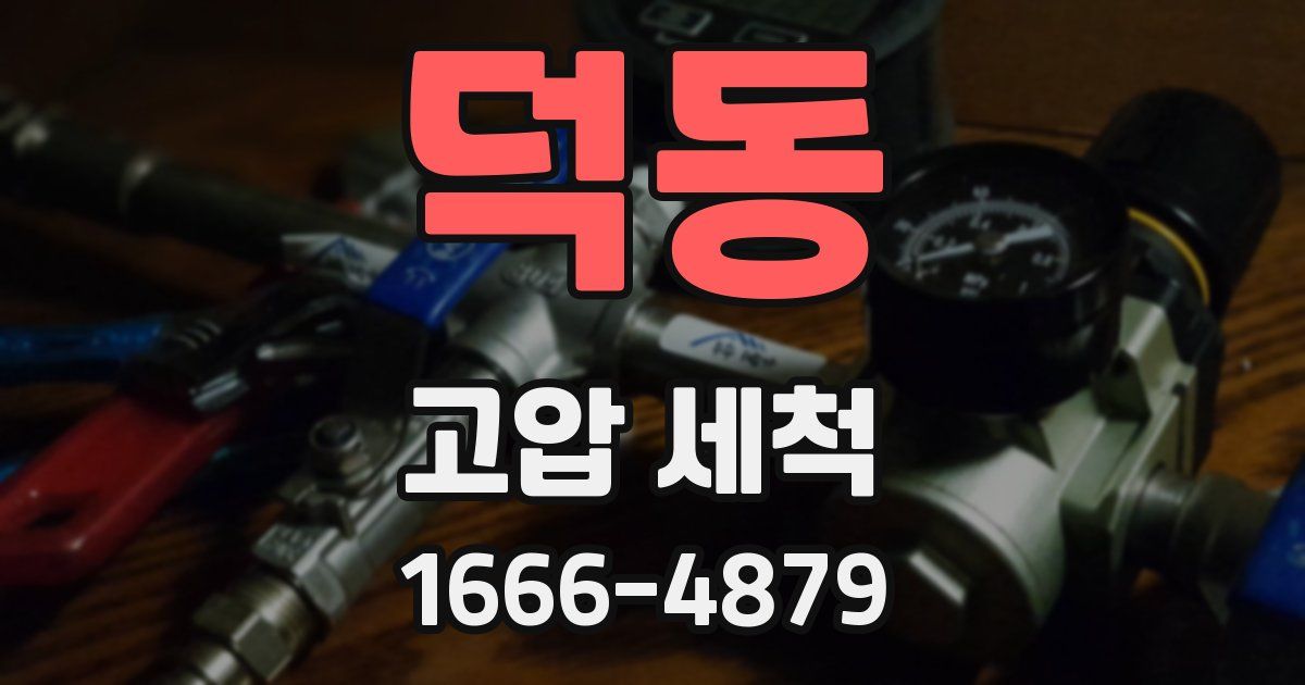 덕동 고압 세척