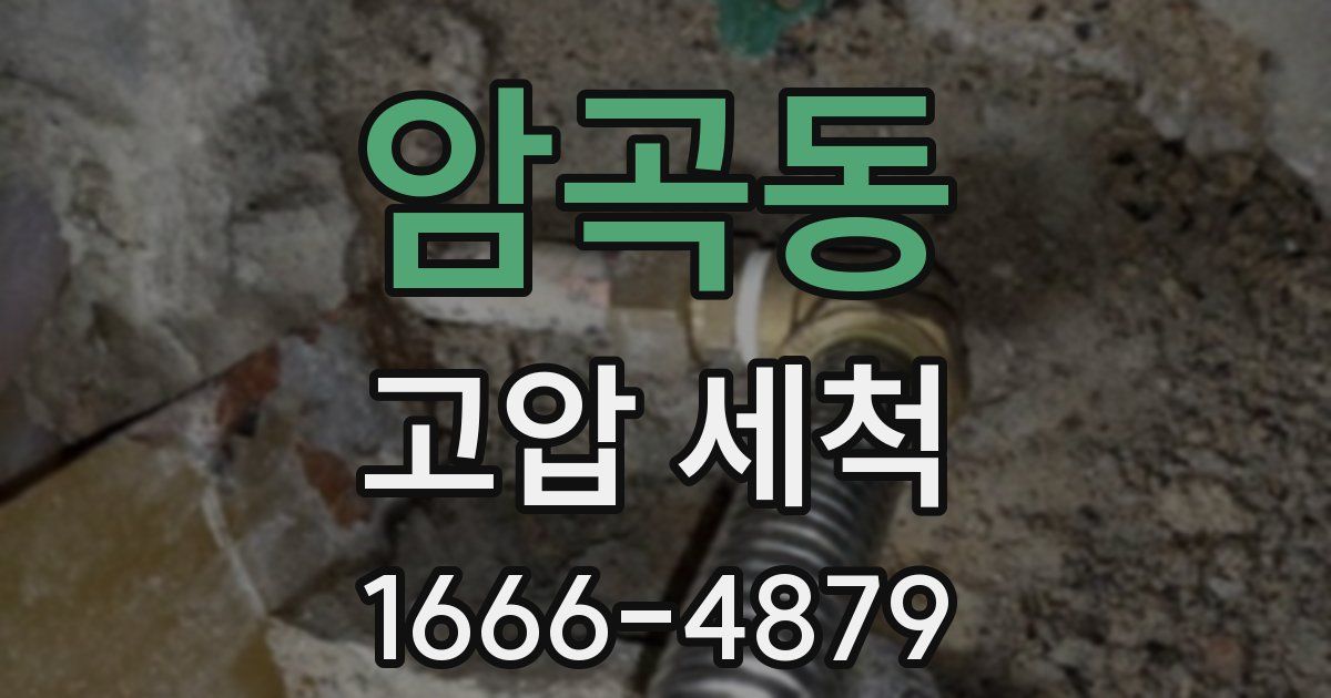 암곡동 고압 세척