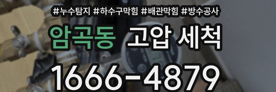 암곡동 고압 세척