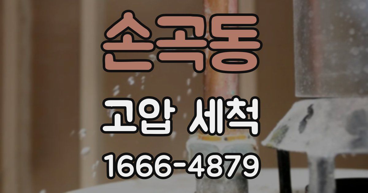 손곡동 고압 세척
