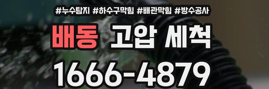 배동 고압 세척