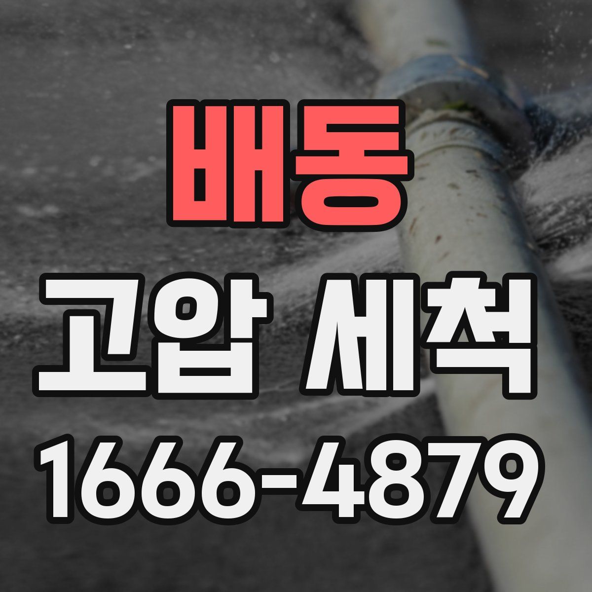 배동 고압 세척