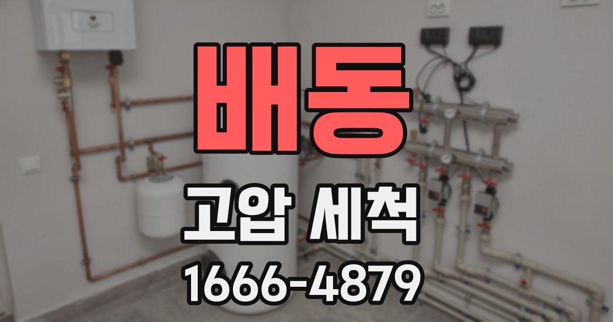 배동 고압 세척