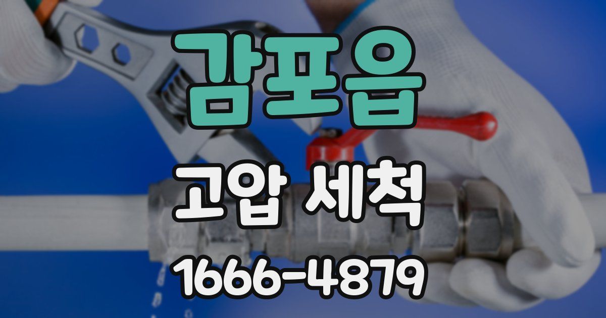 감포읍 고압 세척