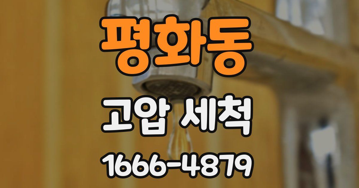 평화동 고압 세척