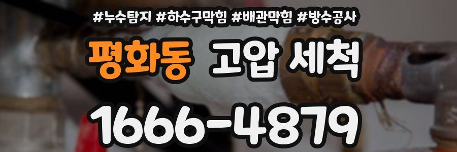 평화동 고압 세척