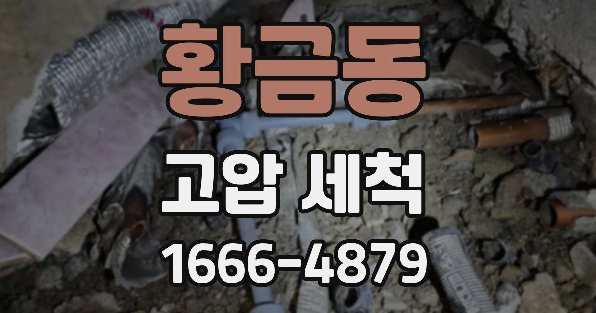 황금동 고압 세척