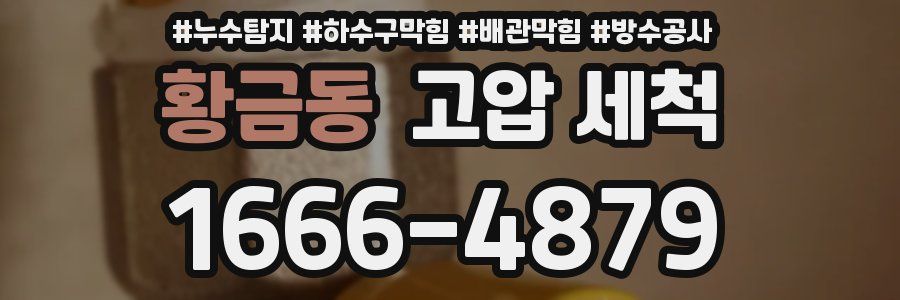 황금동 고압 세척