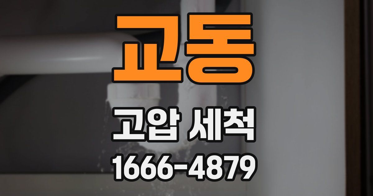 교동 고압 세척