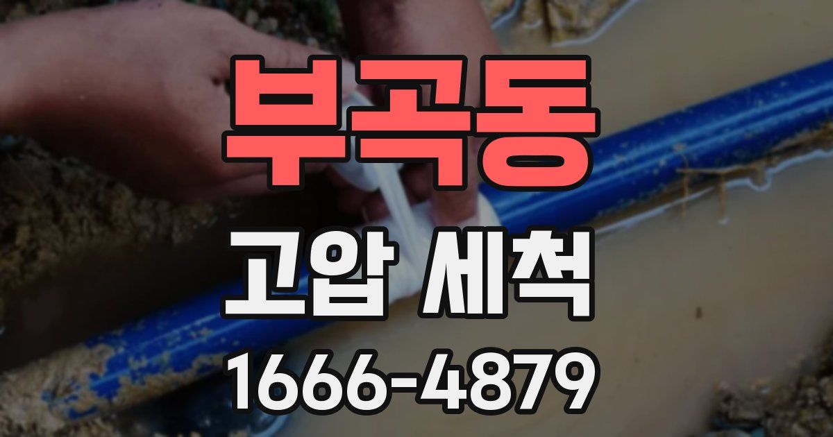 부곡동 고압 세척
