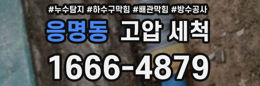 응명동 고압 세척