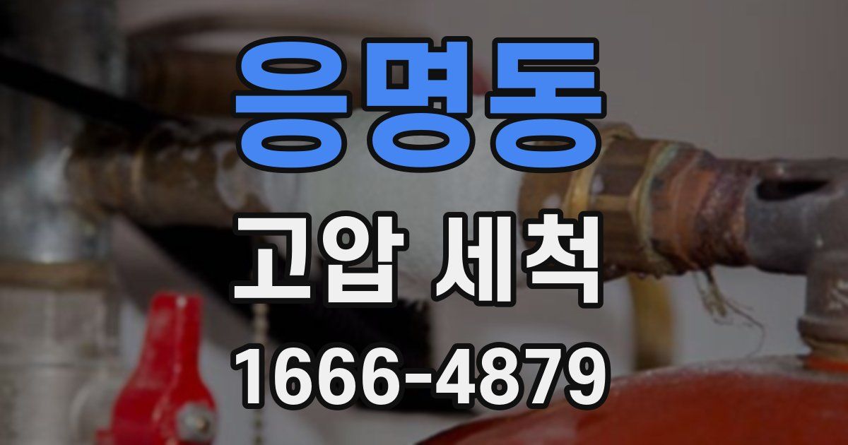 응명동 고압 세척