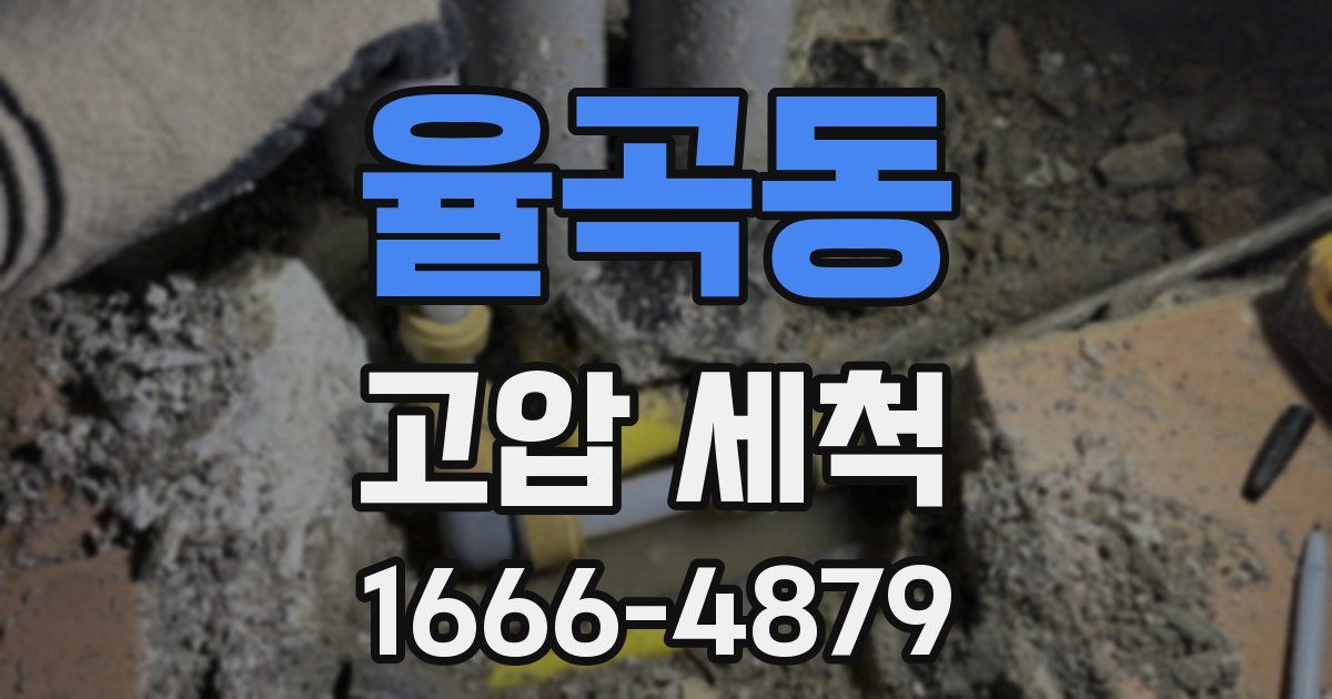 율곡동 고압 세척