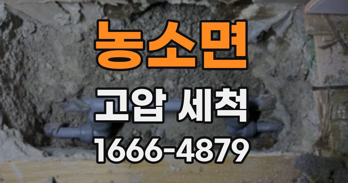 농소면 고압 세척