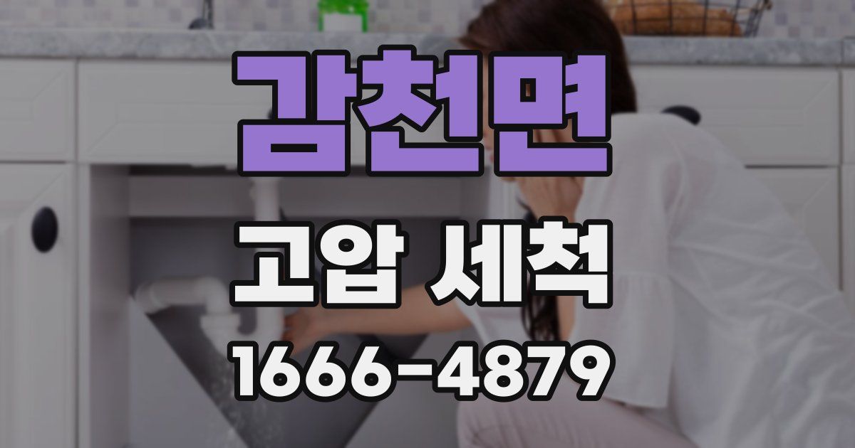 감천면 고압 세척