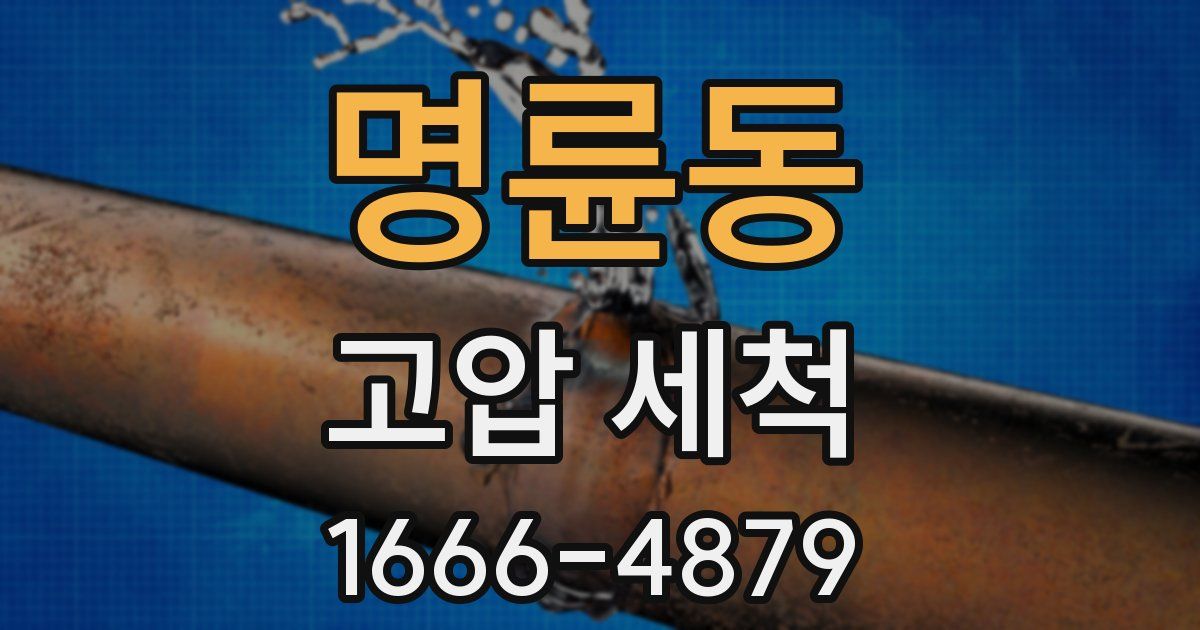 명륜동 고압 세척