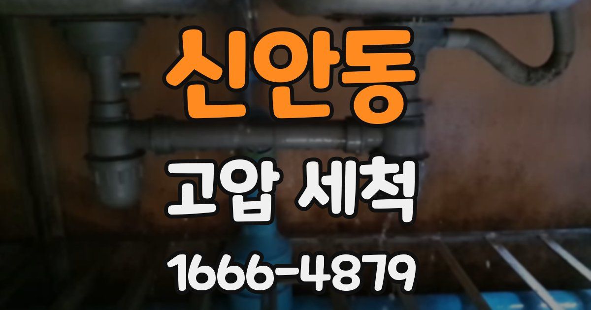 신안동 고압 세척