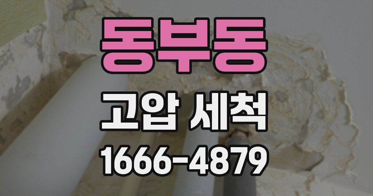 동부동 고압 세척