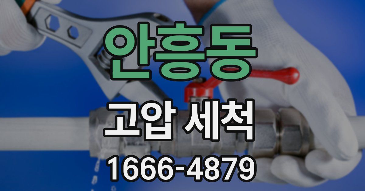 안흥동 고압 세척