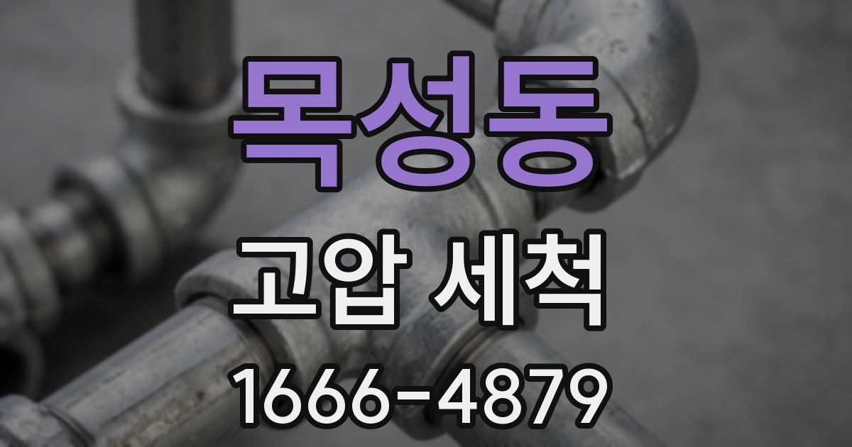 목성동 고압 세척