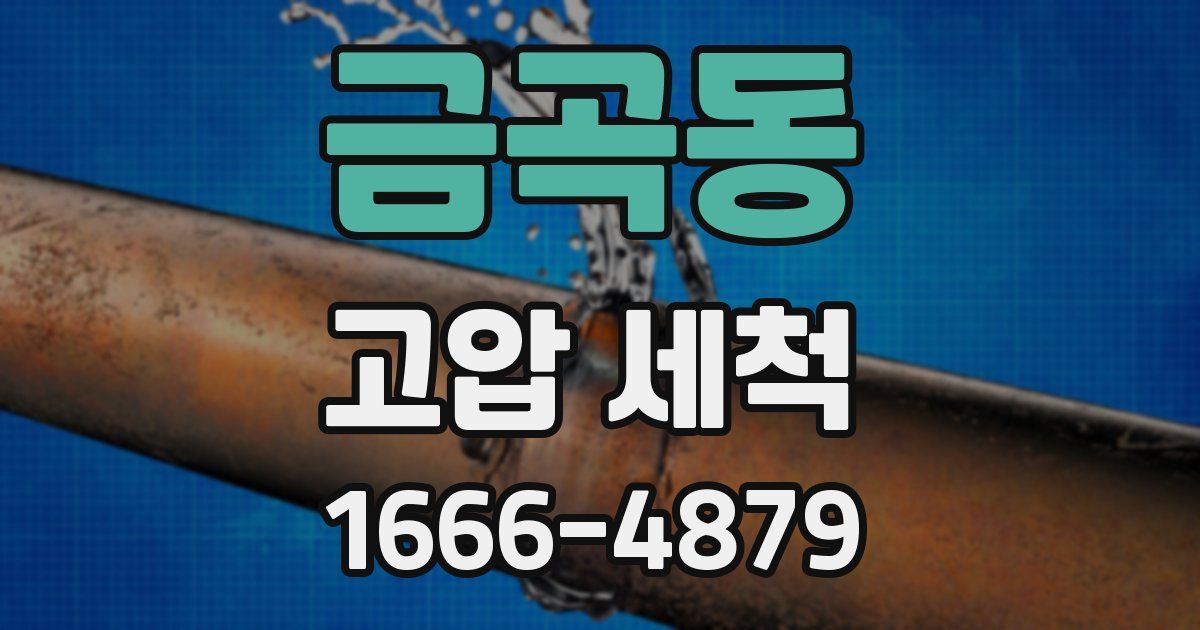 금곡동 고압 세척