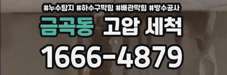 금곡동 고압 세척
