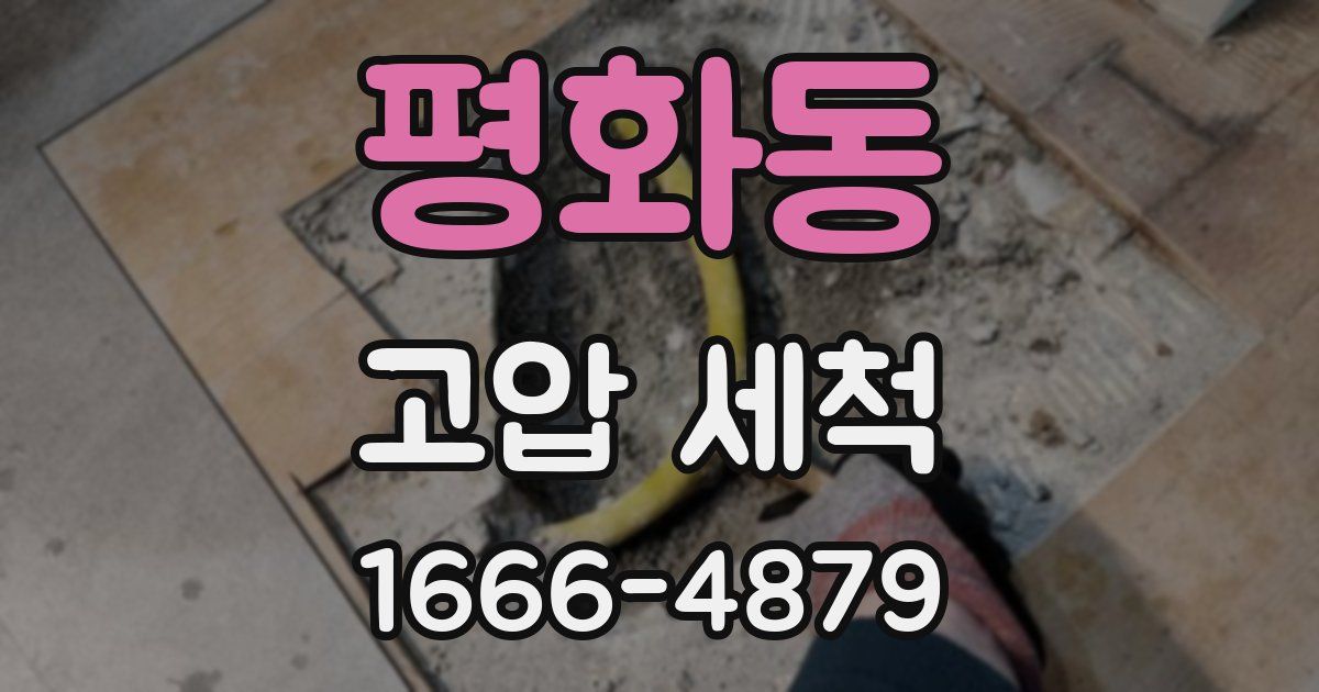 평화동 고압 세척