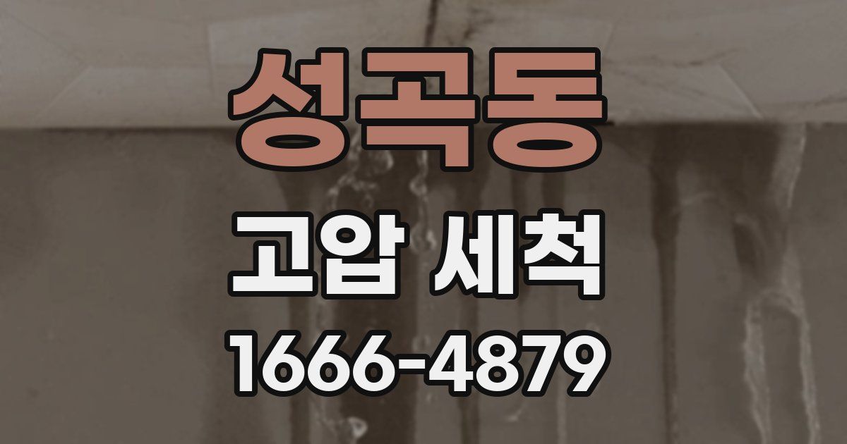 성곡동 고압 세척