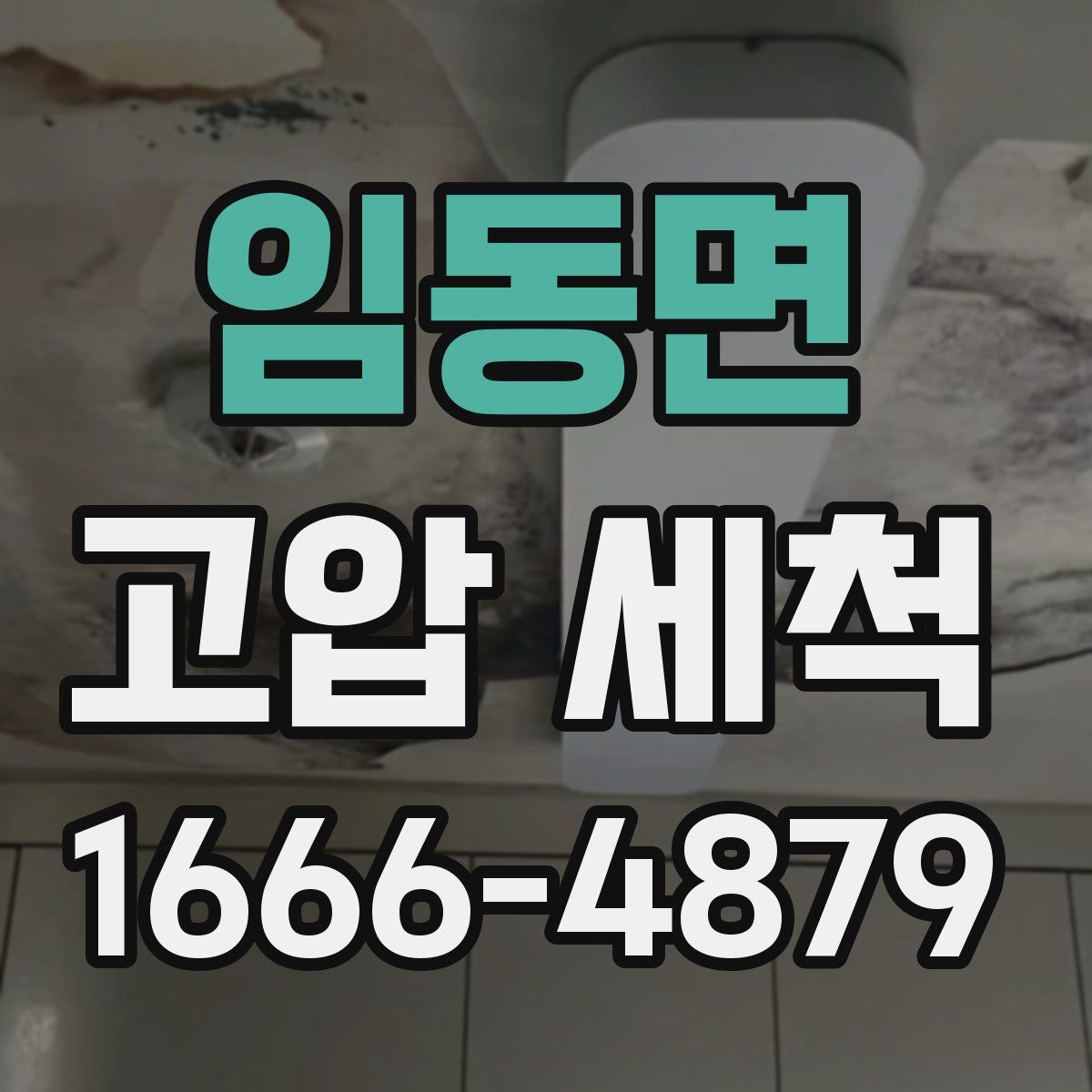 임동면 고압 세척