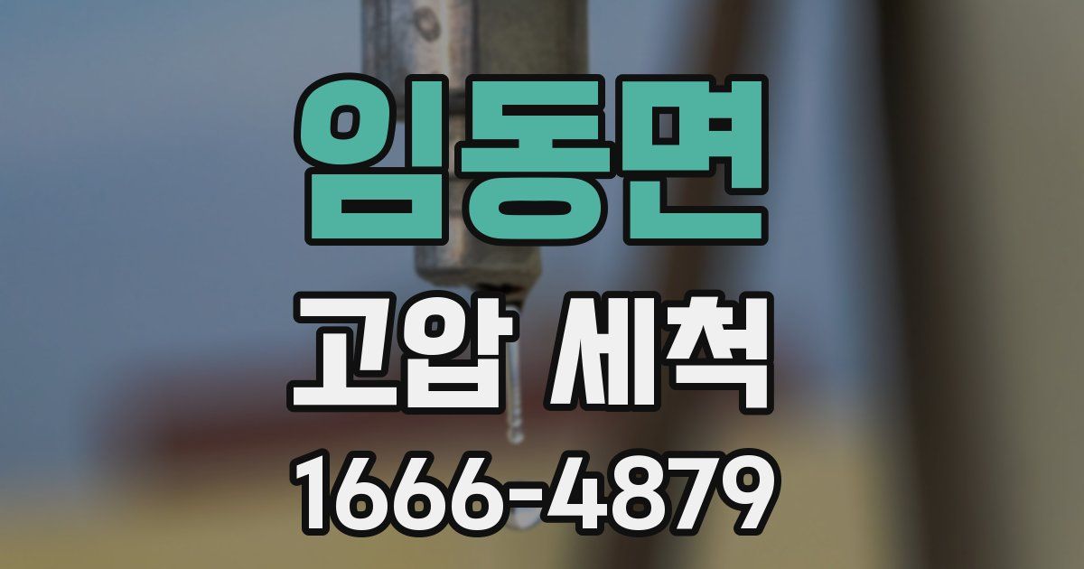 임동면 고압 세척